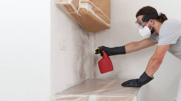 Professional Basement Mold Removal technician working in West Milford, NJ