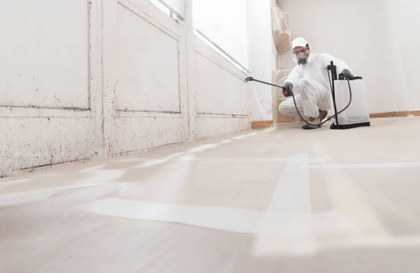 24/7 Emergency Basement Mold Removal experts in West Milford, NJ
